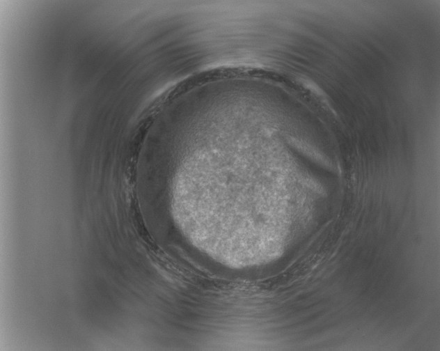 X0000059841064200511041807