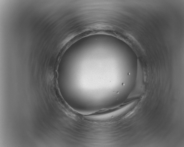 X0000059841065200511041807