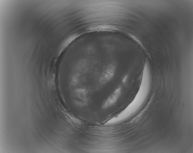 X0000059841066200511041807