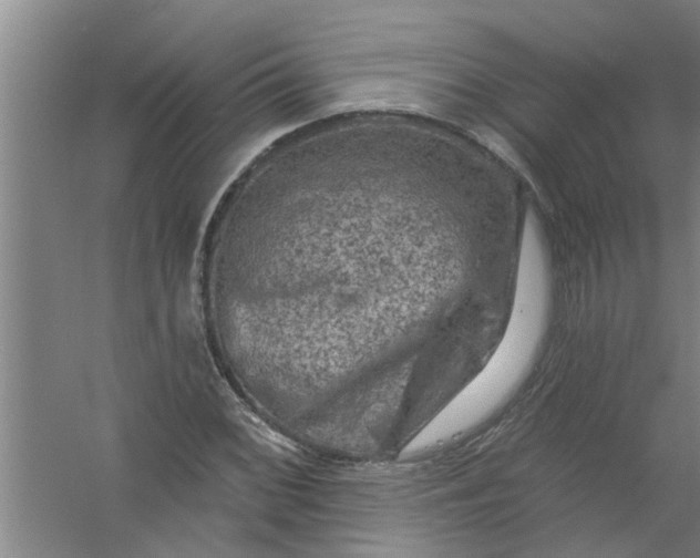 X0000059841068200511041807