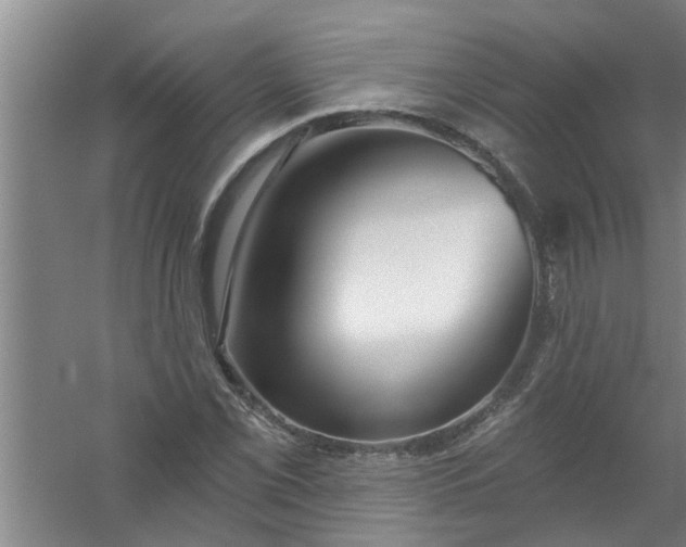 X0000059841069200511041807