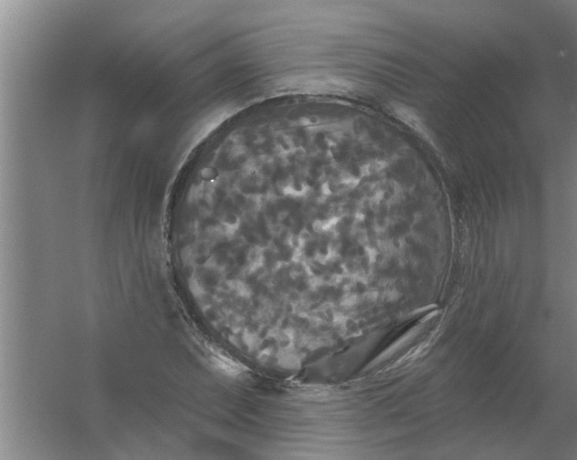 X0000059841071200511041807