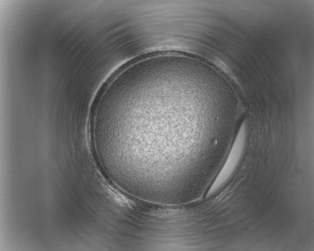 X0000059841076200511041807