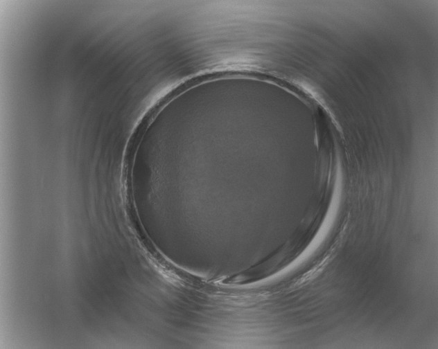 X0000059841077200511041807