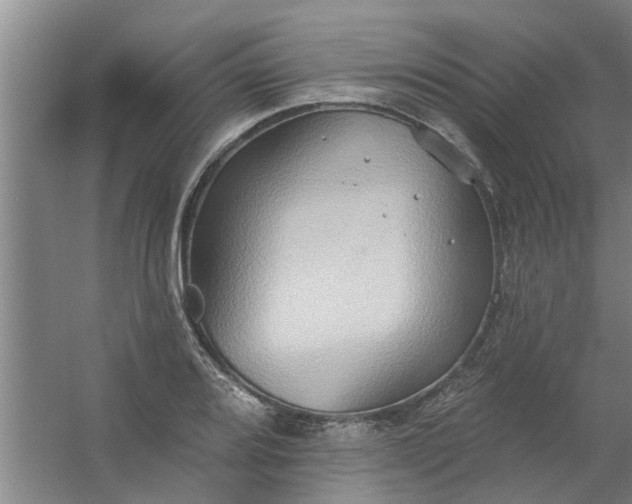 X0000059841080200511041807