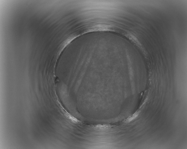 X0000059841081200511041807