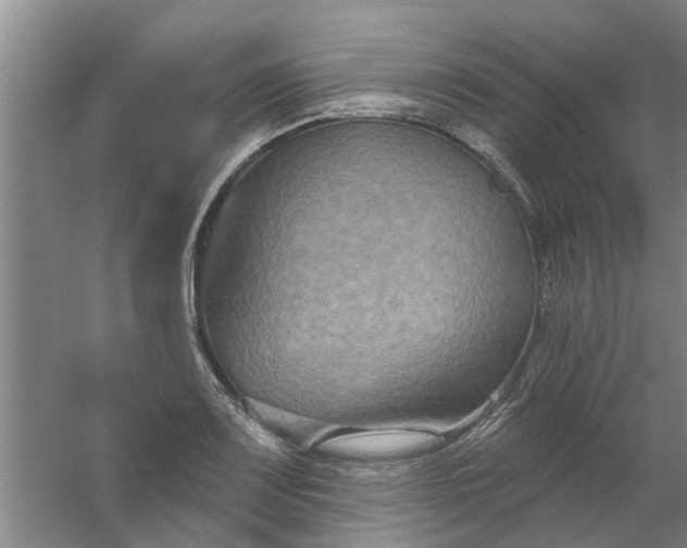 X0000059841083200511041807