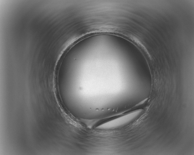 X0000059841085200511041806