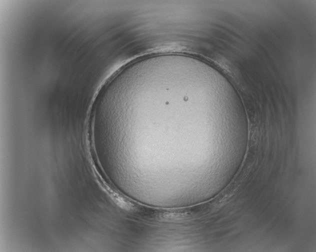 X0000059841086200511041806