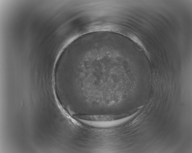 X0000059841088200511041806