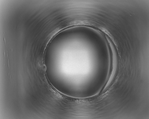 X0000059841089200511041806