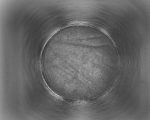 X0000059841090200511041806