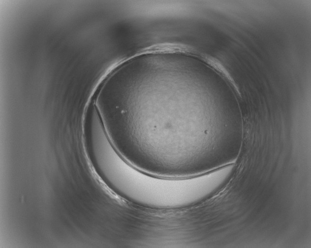 X0000059841091200511041806