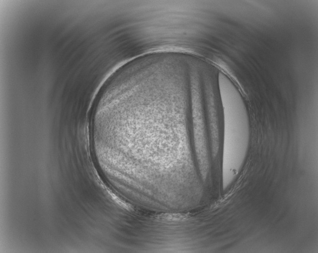 X0000059841092200511041806