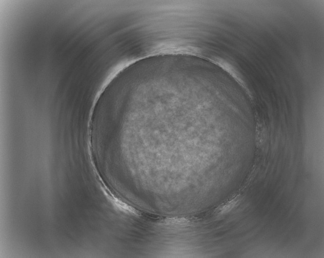 X0000059841094200511041806