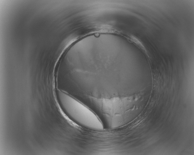 X0000059841095200511041806