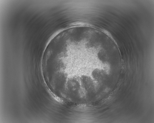 X0000059841098200511041806