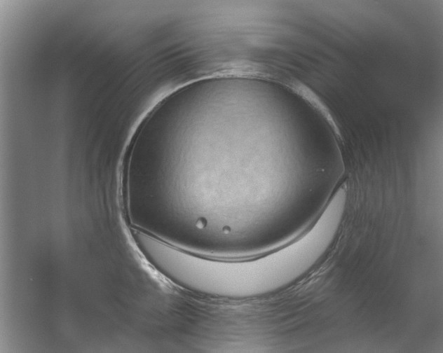 X0000059841099200511041806