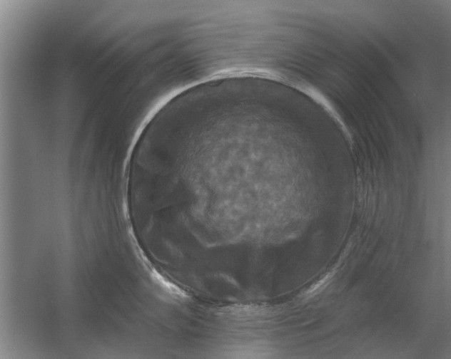 X0000059841102200511041806