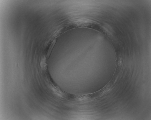 X0000059841108200511041805