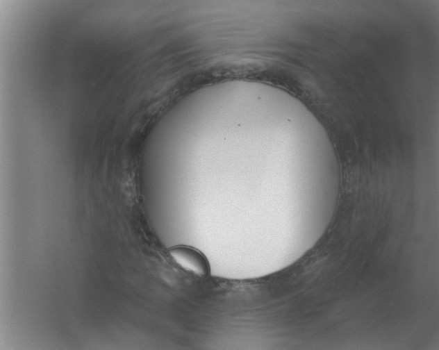 X0000059841109200511041805