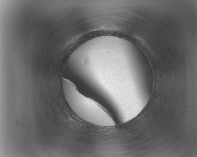 X0000059841110200511041805