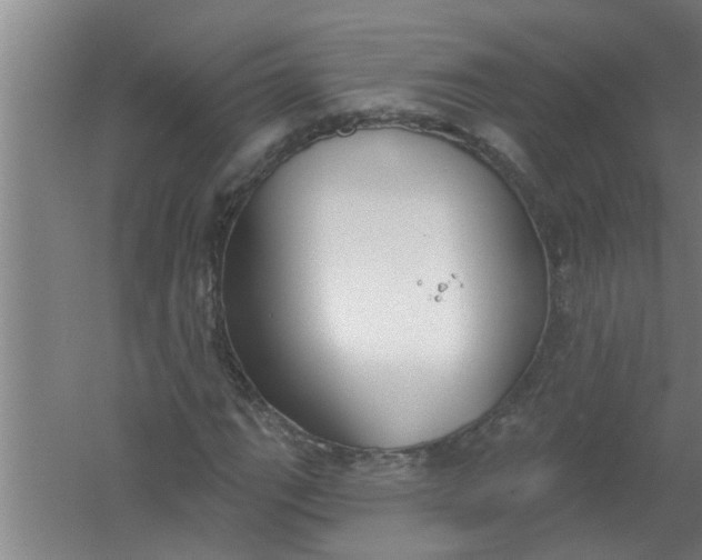 X0000059841111200511041805