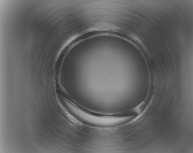 X0000059841114200511041805