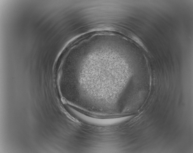 X0000059841116200511041806