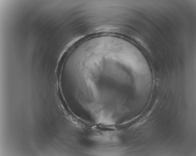 X0000059841117200511041806