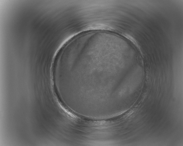 X0000059841120200511041806