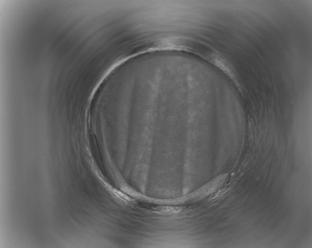 X0000059841124200511041806