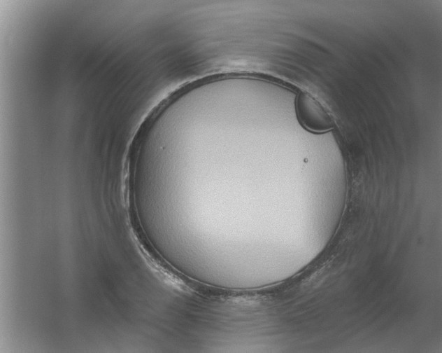 X0000059841126200511041806