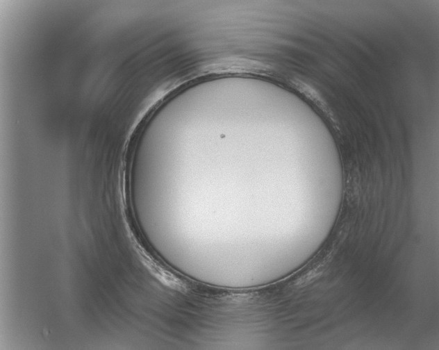 X0000059841130200511041806