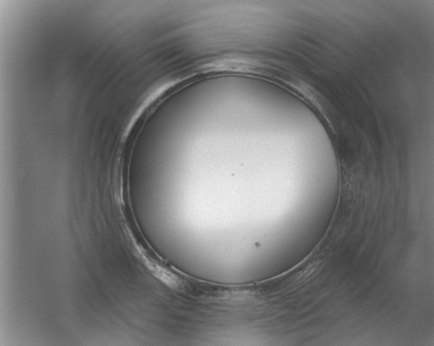 X0000059841131200511041806