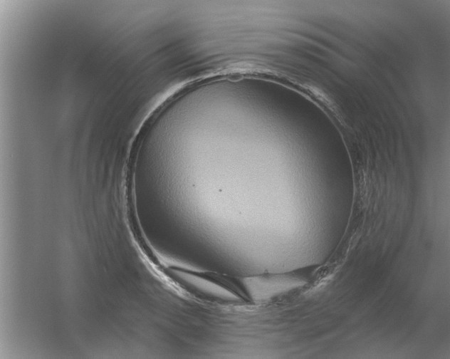 X0000059841134200511041806