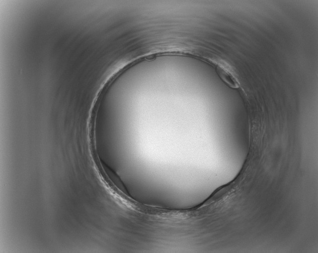 X0000059841135200511041806