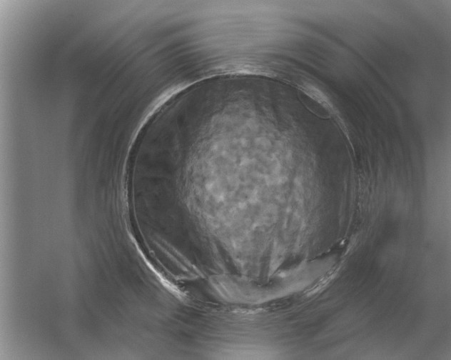 X0000059841141200511041806