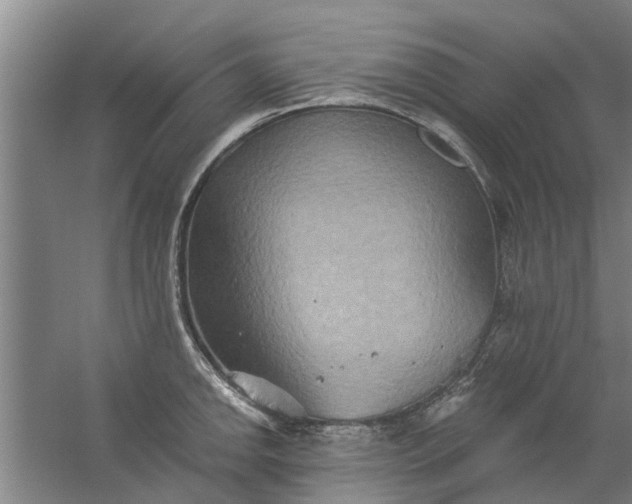 X0000059841142200511041806