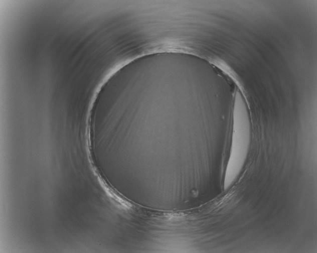 X0000059841144200511041806