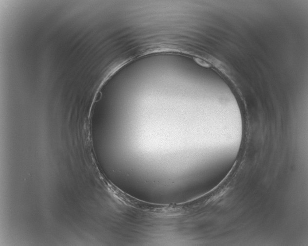 X0000059841145200511041806