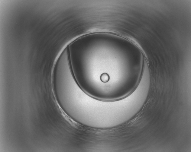 X0000059841148200511041806