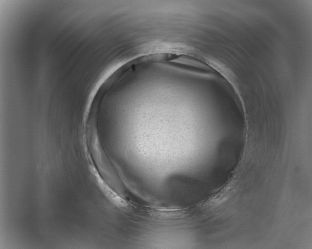 X0000059841152200511041806