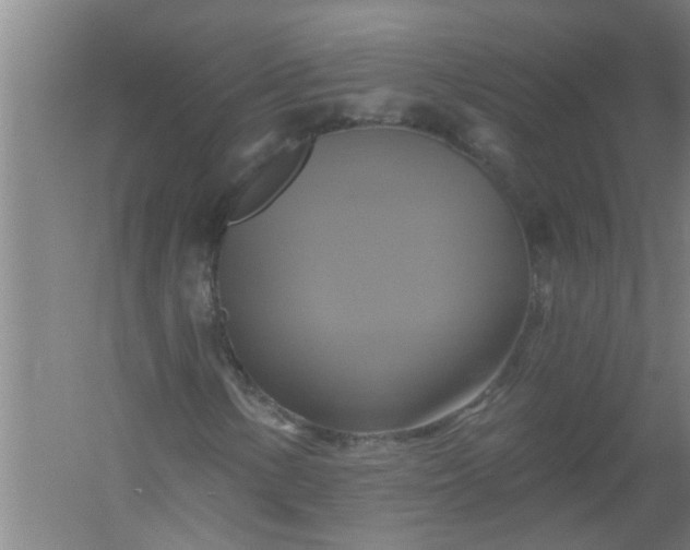 X0000059841154200511041805