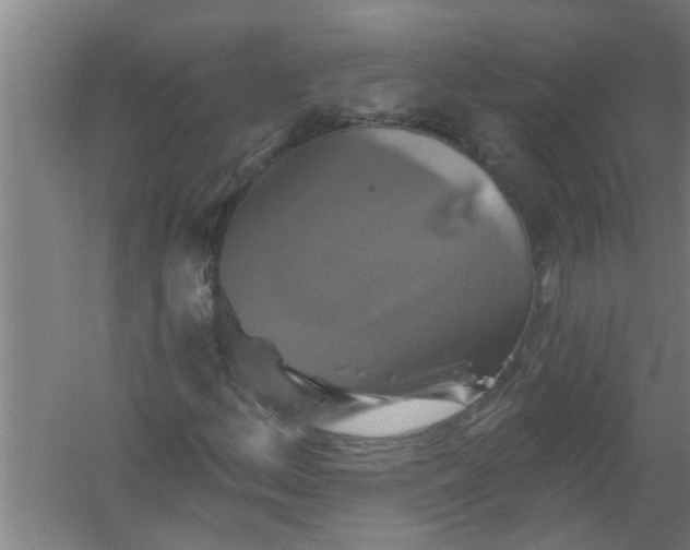 X0000059841156200511041805