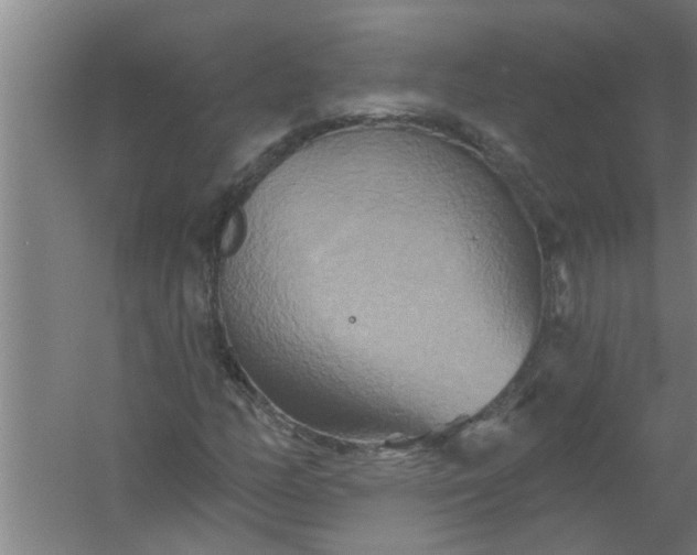 X0000059841158200511041805