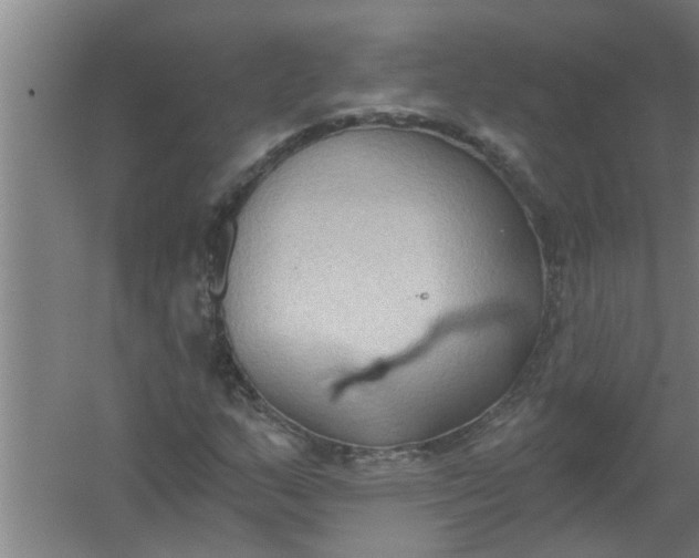 X0000059841159200511041805