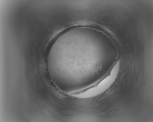 X0000059841160200511041805