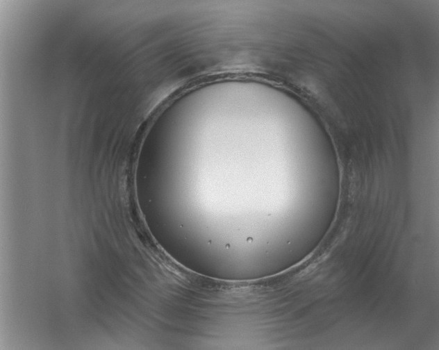 X0000059841162200511041805