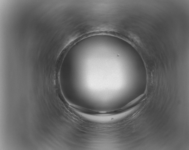 X0000059841165200511041805